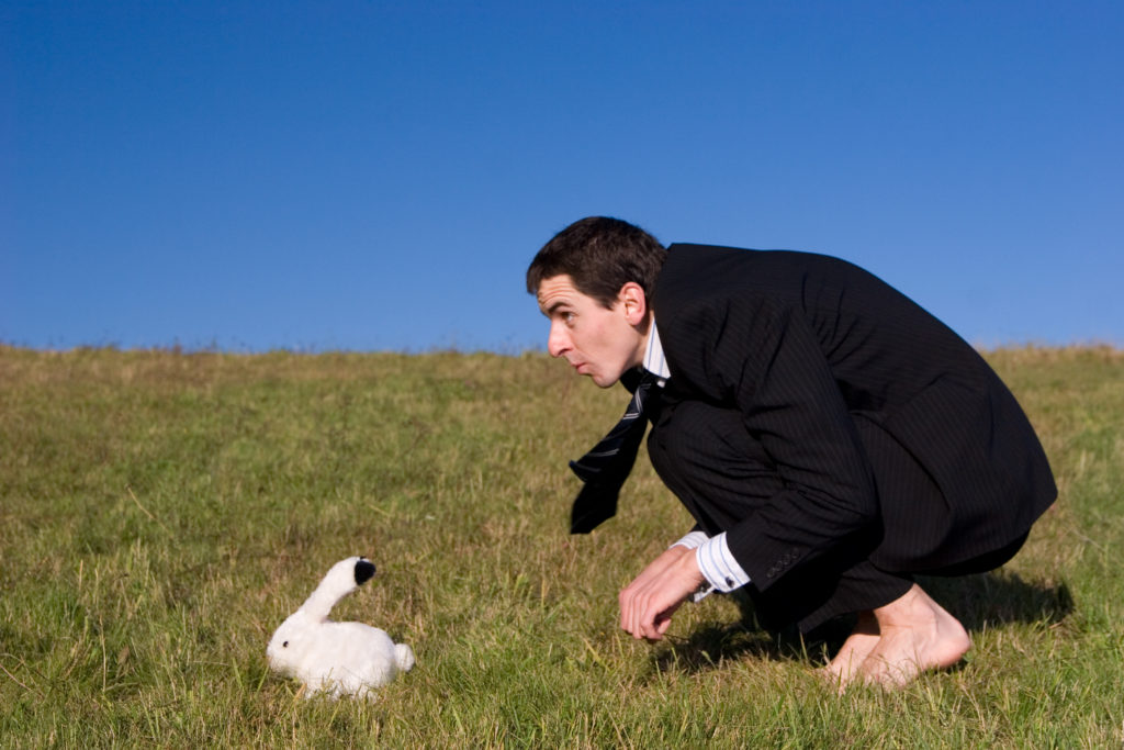 Are you chasing too many rabbits? Don on Selling